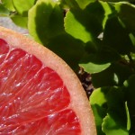 grapefruit