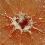 grapefruit