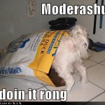 funny-dog-pictures-dog-is-not-doing-moderation-right