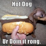 urdoinitrong