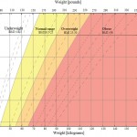 bmi