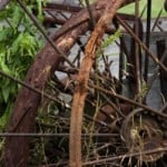 farm-wheel