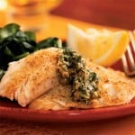 fillets-ck-1142036-l