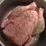 The bird I brined... and I won't even be eating any of it. [insert sad face]