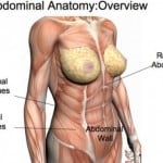 When you get into building your body, you have to learn your basic anatomy. Whatever you want out of your body, it is possible to build.