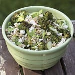 broccoli-farro-salad-recipe