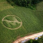 Aerial view of a crop circle made by local farmers and Greenpeac
