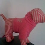 Keep the puppy, toss the panties?