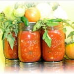 salsa salsa