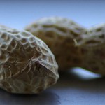 800px-Peanut_closeup