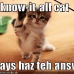knowitallcat128551724867326215