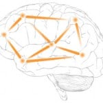 brain-w
