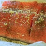 From the post, "Salmon 101"