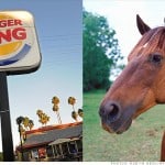 burger-king