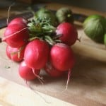 radishes-in-salad 019