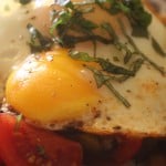 Fried egg on a bed of fresh tomatoes and avocado