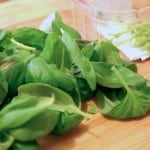 basil 001