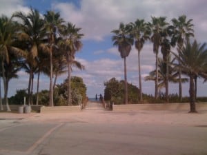 The view from my jogging path!