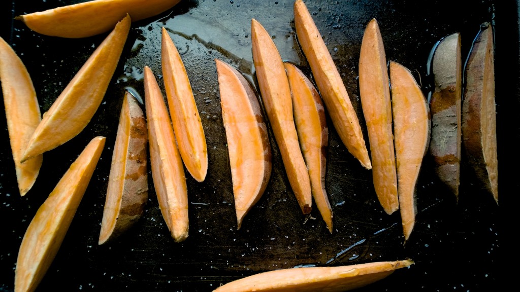 bgg2wl-sweet-potato-fries-095